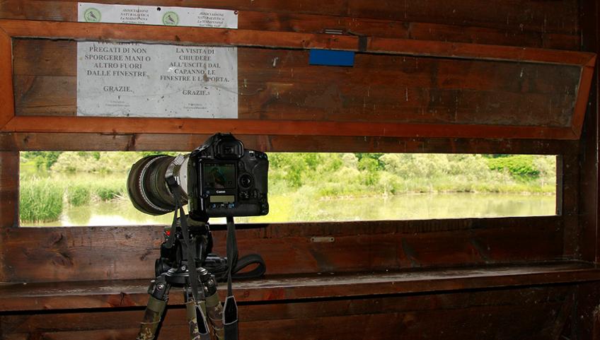 4 LUOGHI DOVE PRATICARE BIRDWATCHING NEL CUNEESE